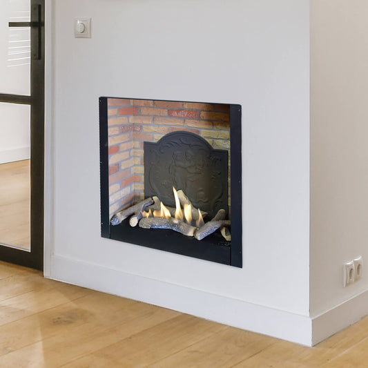 Xaralyn Inbouwunit L medaillon bio-ethanol inbouwhaard