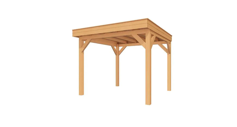 Douglas overkapping 300x200 cm plat dak technische tekening met zwarte rabatdelen wanden