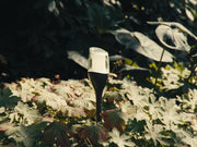 ZOLUNA Solar Spike Light ANKY – Sfeervolle Tuinverlichting met Vlam Effect - Chique Buiten Leven - Zoluna Solar tuinspot