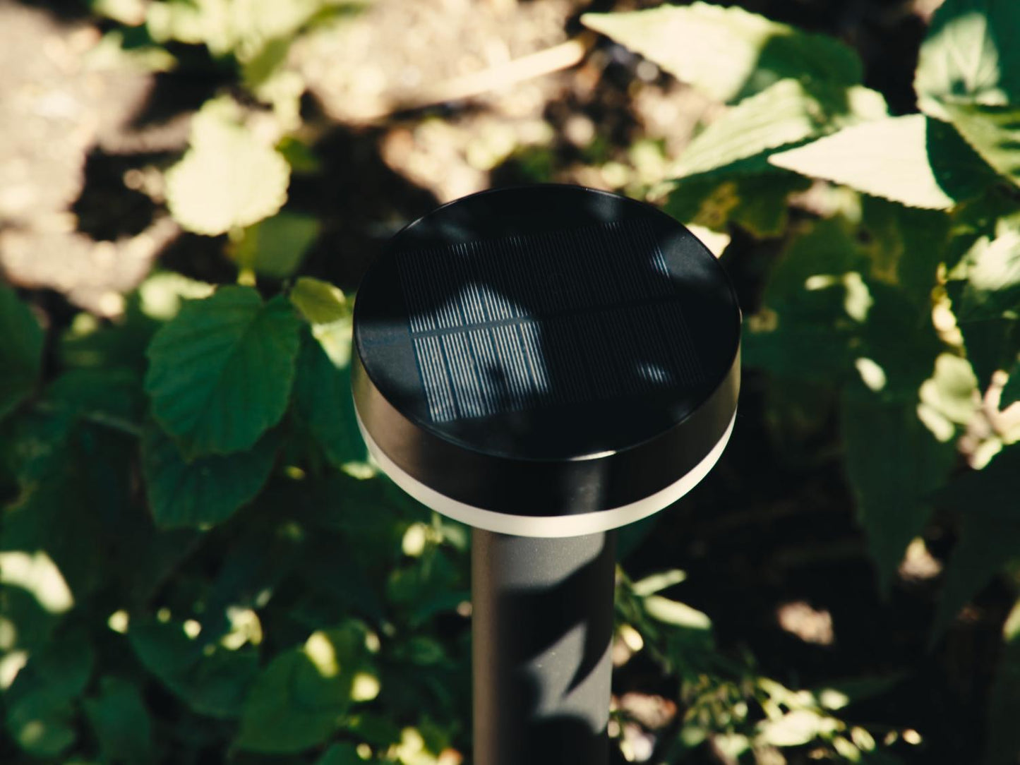 ZOLUNA Solar Spike Light GUUS – Premium Buitenverlichting op Zonne - energie - Chique Buiten Leven - Zoluna Solar prikspot