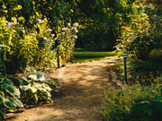 ZOLUNA Solar Spike Light GUUS – Premium Buitenverlichting op Zonne - energie - Chique Buiten Leven - Zoluna Solar prikspot